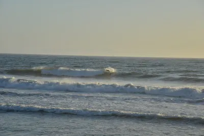 DSC_7251 (Large).JPG